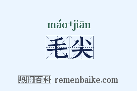 毛尖是什么意思的图片